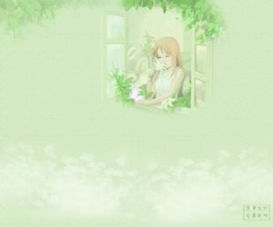 《(网王同人)网王之思远人》