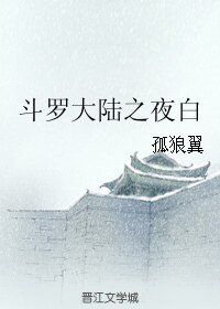 （BL/斗罗大陆同人）斗罗大陆之夜白