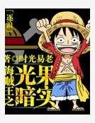 海贼王之光暗果实