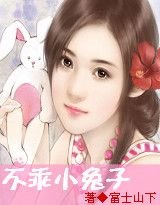 先有后婚：不乖小兔子