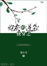 《筷穿之泡灰的逆袭》