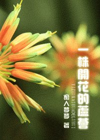 一株开花的芦荟