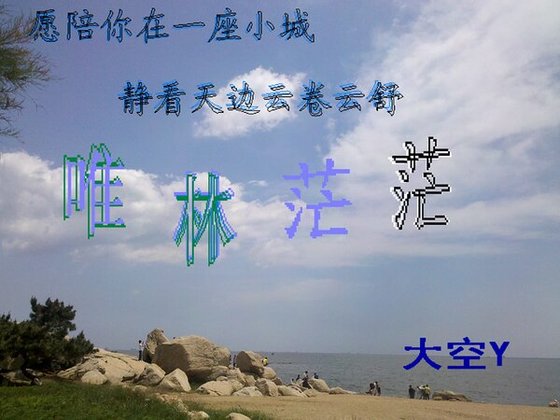 唯林茫茫/林孟&舒城