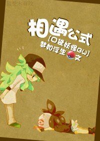 （口袋妖怪BW）相遇公式