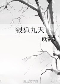 银狐九天