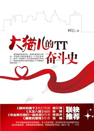 大猫儿的TT奋斗史