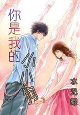 你是我的小小狗