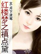 红楼梦之禛点黛