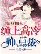 《贴身佣人:缠上高冷帅总裁》