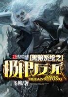 《黑暗系统之极限反派》