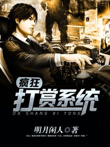 《疯狂打赏系统》