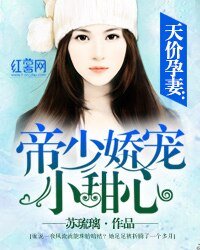 《天价孕妻:帝少娇宠小甜心》