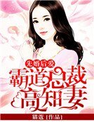 先婚后爱：霸道总裁高知妻