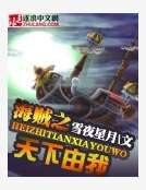 海贼王之天下由我