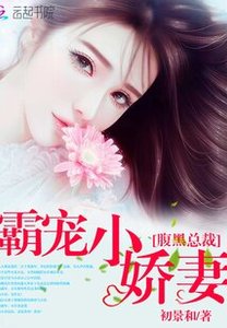 《腹黑总裁:霸宠小娇妻》