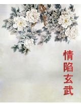 情陷玄武