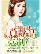 爱恨之约,总裁请克制