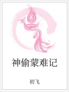 神偷蒙难记
