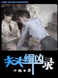 《夫夫缉凶录》