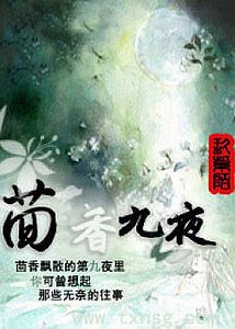 茴香九夜