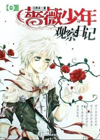 蔷薇少年观察日记