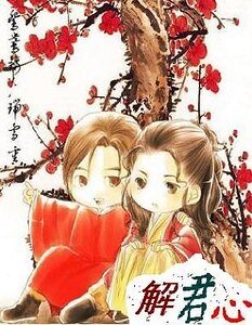 《大少爷与大侠女:解君心》