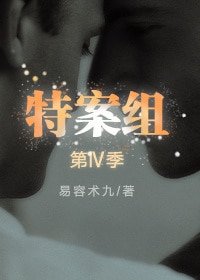 《特殊案件调查组IV》