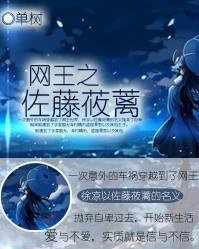 《(网王同人)偏离的轨迹》