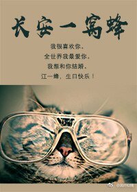 长安一窝蜂