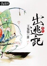 书生出逃记