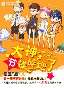 《大神,节操碎一地了》