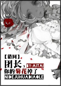 〔猎人同人〕团长，你的菊花掉了