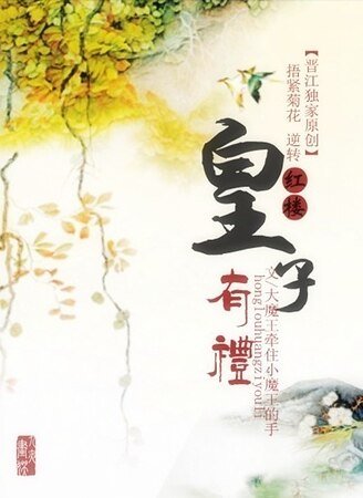 （红楼同人）皇子有礼
