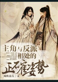 主角与反派相处的正确姿势/主角与反派相处的正确方式