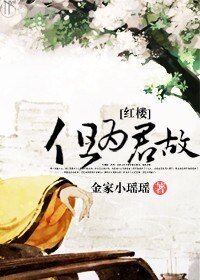 （红楼同人）但为君故