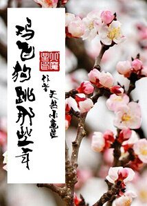 鸡飞狗跳那些年（第一部）