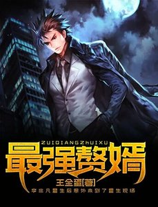 《最强赘婿》