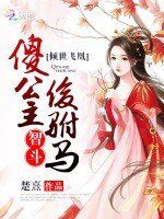 倾世飞凰：傻公主智斗俊驸马