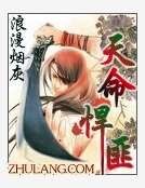 《天命悍匪》