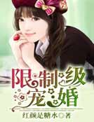 限制级宠婚
