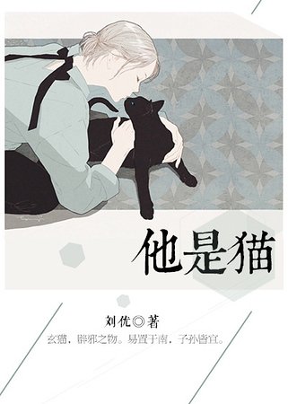 他是猫