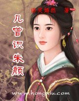 几曾识朱颜