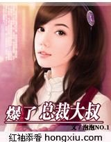爆了总裁大叔