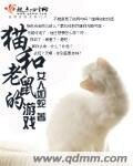 《猫和老鼠的游戏》