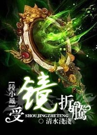 （陆小凤同人）受镜折腾