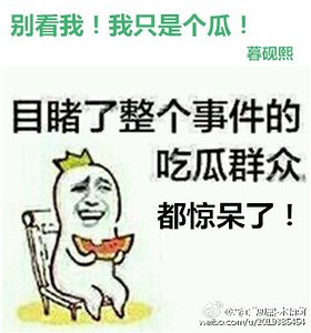 《别看我!我只是个瓜!》
