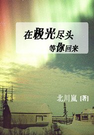 在极光尽头等你回来