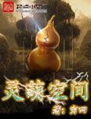 《灵葫空间》