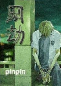 网劫