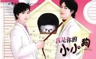 我是你的小小狗（七星劫系列之一）